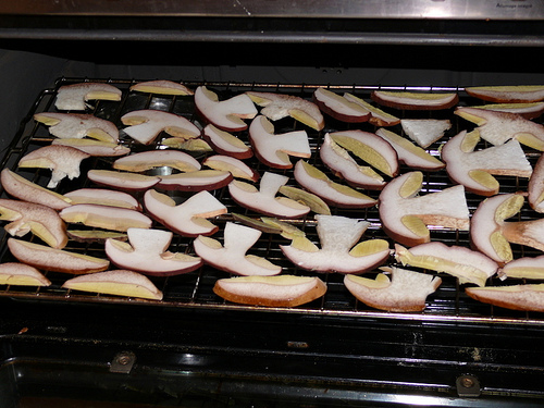 Белые грибы сушеные в духовке