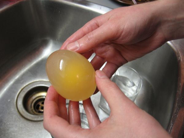 Резиновый попрыгунчик с помощью яйца и уксуса