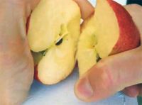 Приготовление Как сломать яблоко пополам руками блюда