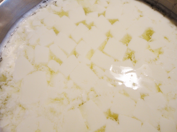 Домашний сыр моцарелла