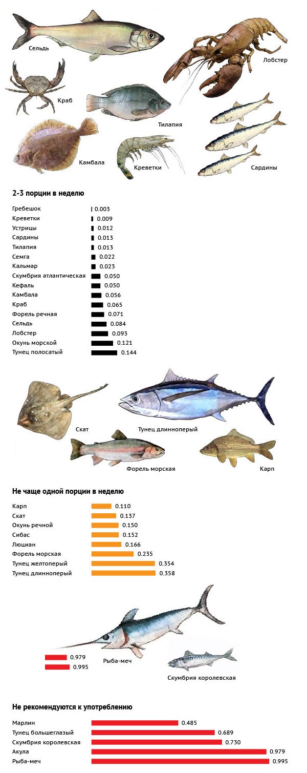 Содержание ртути в рыбе