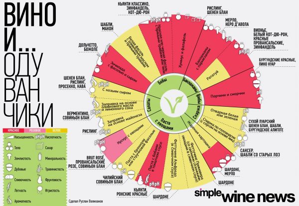 Сочетание вина и популярных продуктов питания. Инфографика