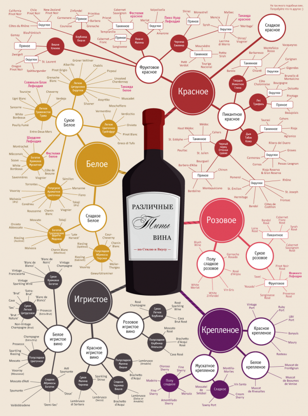 Типы вина по стилю и вкусу. Инфографика