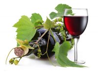 Приготовление 10 фактов, которые следует знать об итальянском вине блюда
