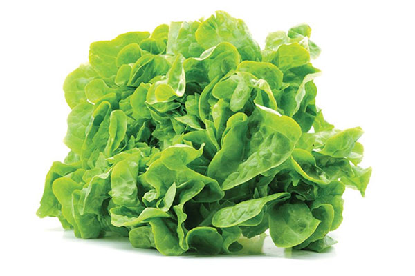 Виды и полезные свойства листовых салатов