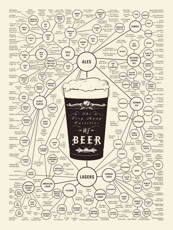 Марки, виды и сорта пива. Инфографик
