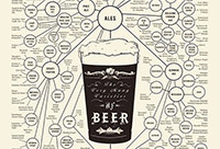 Приготовление Марки, виды и сорта пива. Инфографик блюда