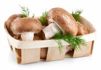 Приготовление Заготовка грибов на зиму: сушка, маринование, замораживание, засолка блюда