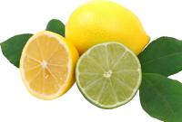 Приготовление Лимоны и лаймы блюда