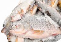 Приготовление Особенности приготовления замороженой рыбы и способы ее разморозки блюда