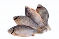 Приготовление Сушеная рыба – польза и вред блюда