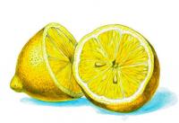 Приготовление История Лимона блюда