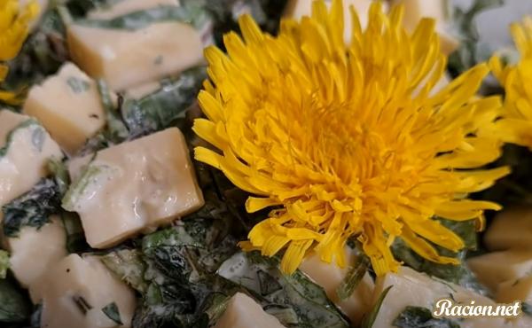 Рецепт Салат с твердым сыром из листьев одуванчика и крапивой. Приготовление 

блюда